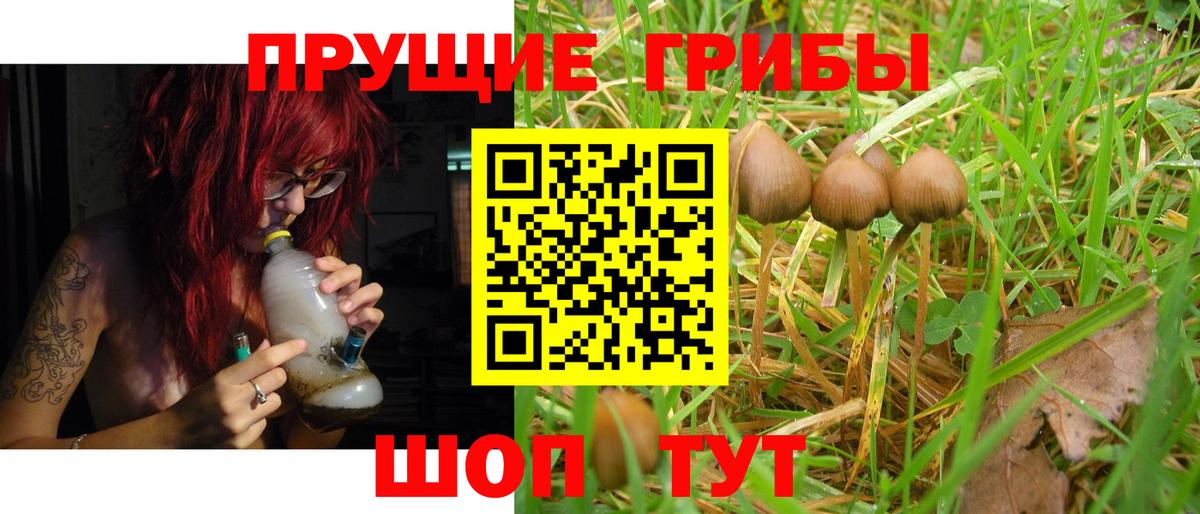 Псилоцибиновые грибы мицелий Карпинск